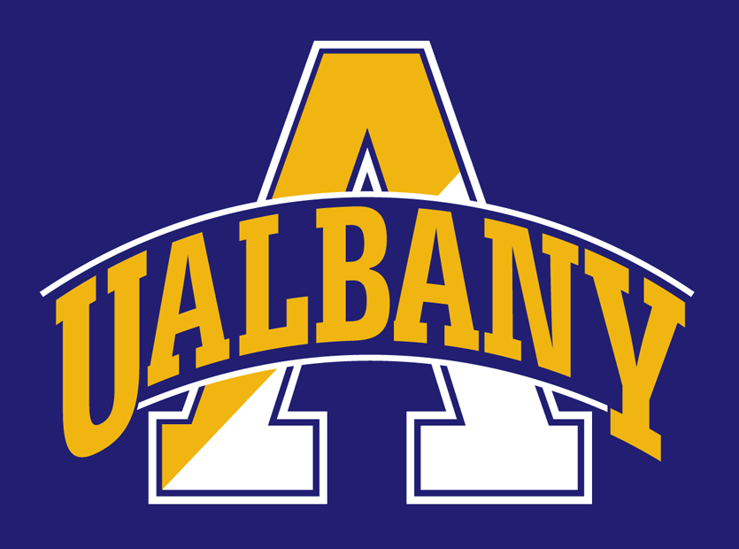 Albany Great Danes 2004-Pres Alternate Logo v3 diy DTF decal sticker